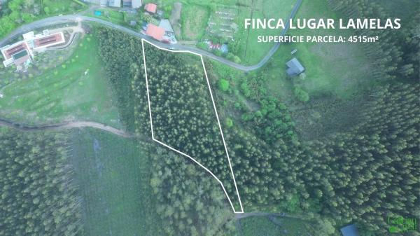 Terreno en Lugar Lamelas, 6