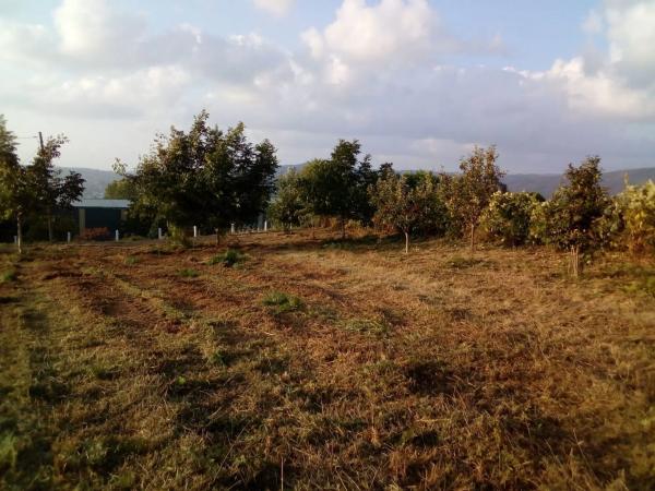 Terreno en camino Campaíña, 153
