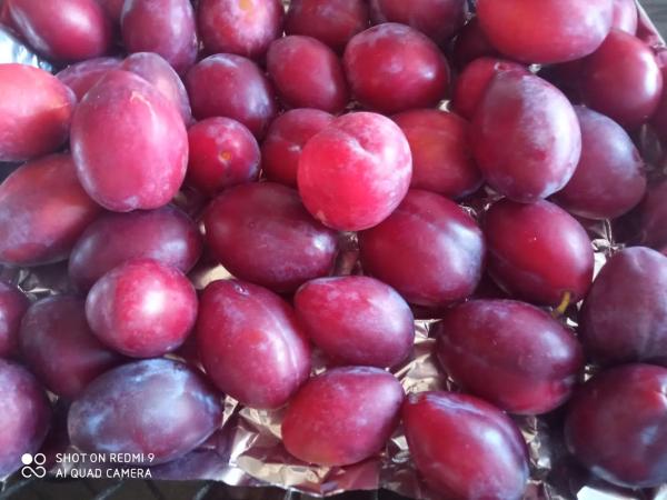 Terreno en camino Campaíña, 153