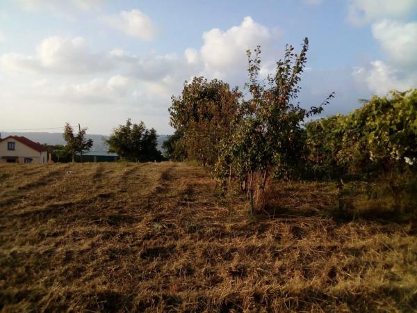 Terreno en camino Campaíña, 153