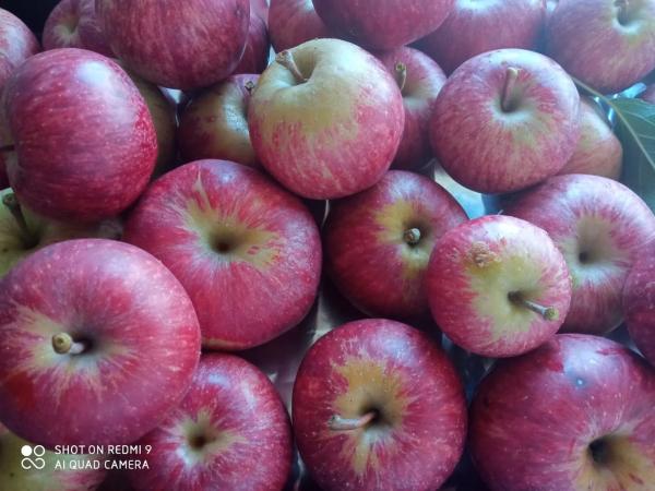 Terreno en camino Campaíña, 153