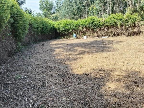 Terreno en Figueiroa