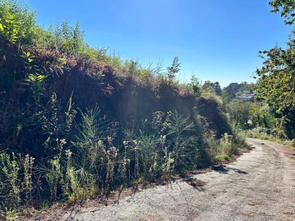 Terreno en Aldea San Roque