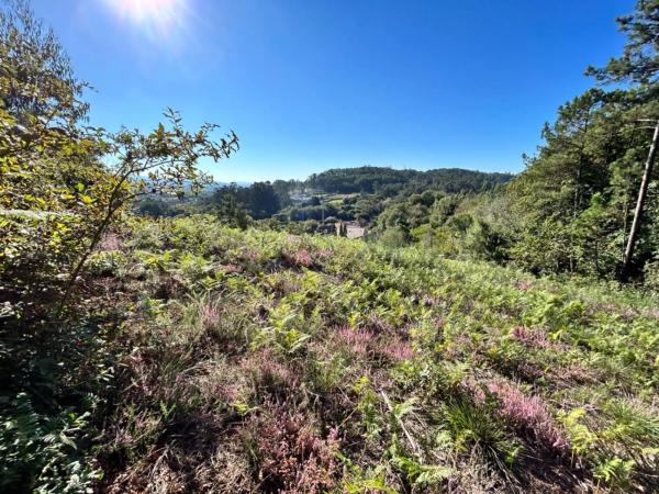Terreno en Aldea San Roque