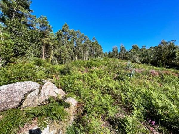 Terreno en Aldea San Roque