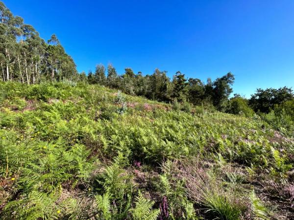 Terreno en Aldea San Roque