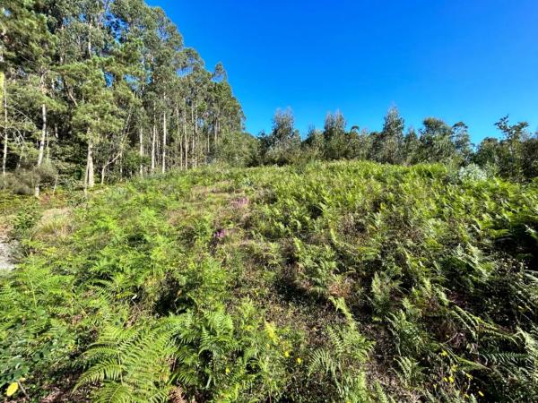 Terreno en Aldea San Roque