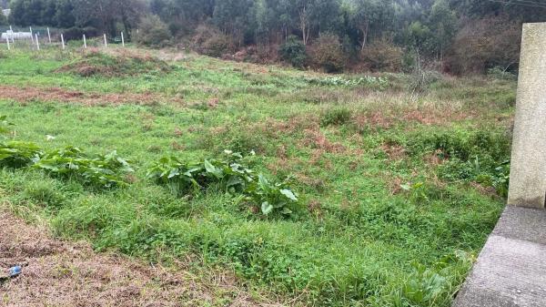 Terreno en Carreira - Castiñeiras - Aguiño