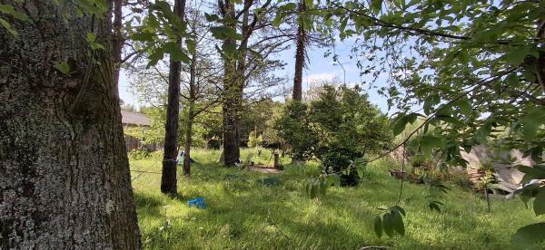 Terreno en Saltiño, 9