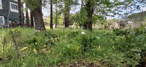 Terreno en Saltiño, 9