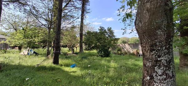 Terreno en Saltiño, 9