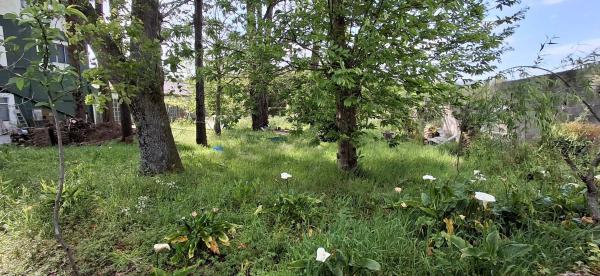 Terreno en Saltiño, 9