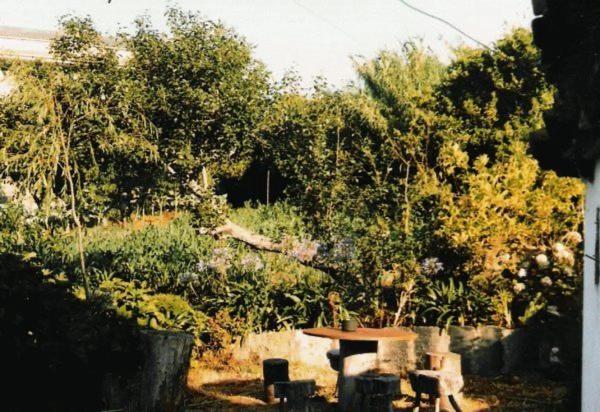 Terreno en camino de Castela, 959