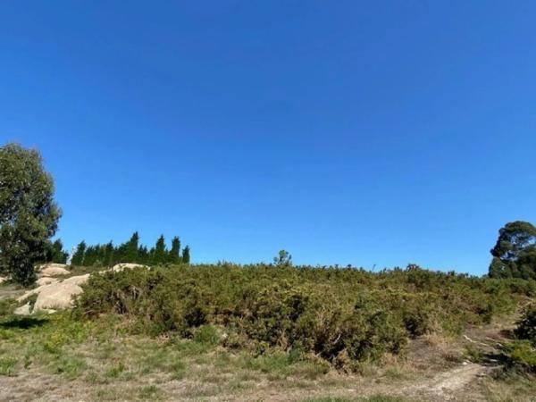 Terreno en Lugar Comeanda