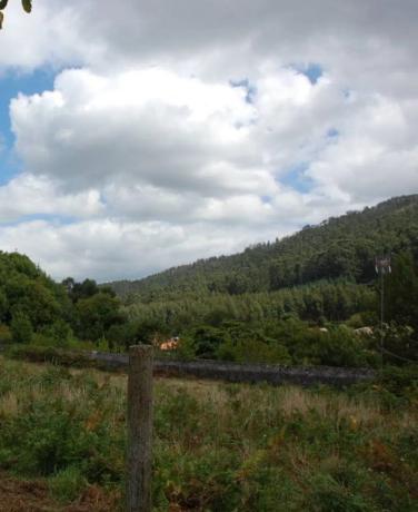 Terreno en camino de Castela, 959