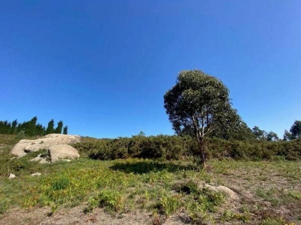 Terreno en Lugar Comeanda