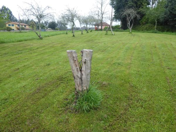 Terreno en Lugar Condos, 14