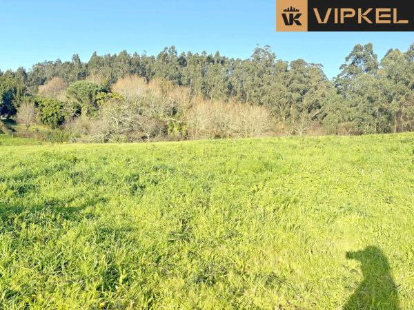 Terreno en plaza Duques Conquista