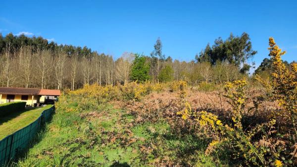Terreno en Burricios, 6