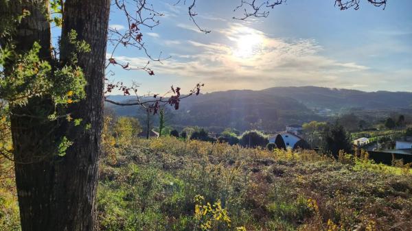 Terreno en Burricios, 6