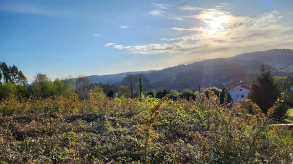 Terreno en Burricios, 6