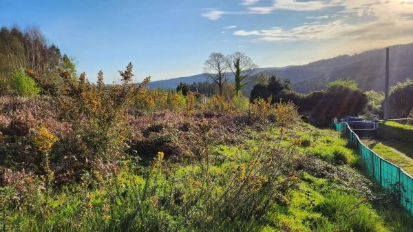 Terreno en Burricios, 6