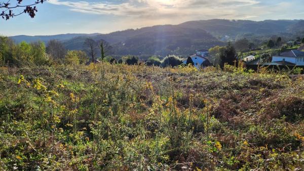 Terreno en Burricios, 6