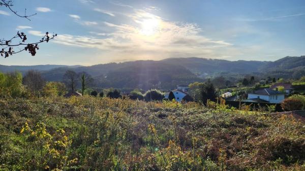 Terreno en Burricios, 6