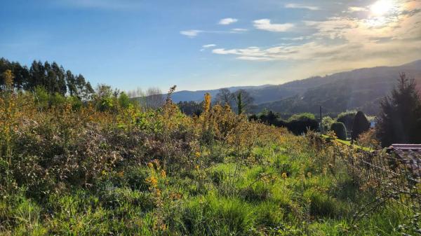 Terreno en Burricios, 6