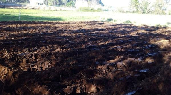 Terreno en Pedras Brancas s/n