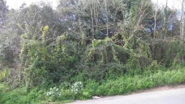 Terreno en avenida Corveira