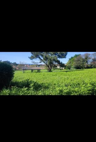 Terreno en Coiros de Abaixo s/n