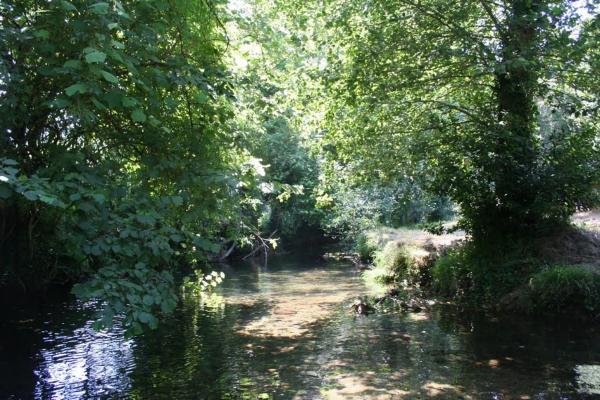 Terreno en Ferraría, 8