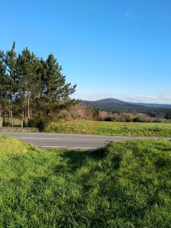 Terreno en S/n, 306 Ac