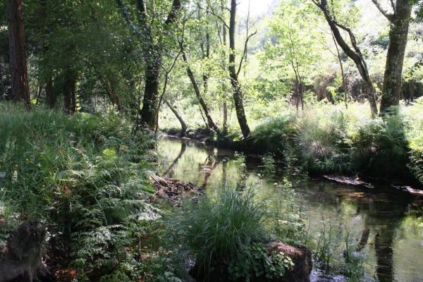 Terreno en Ferraría, 8