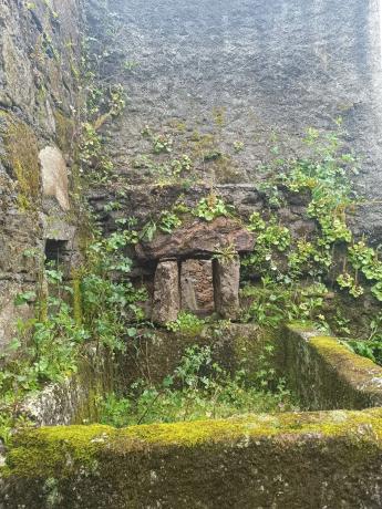 Terreno en Lugar Reboredo, 6