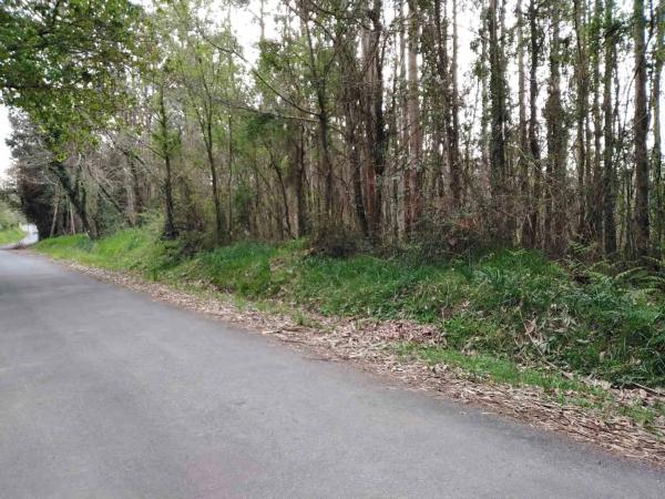 Terreno en carretera Limodre s/n