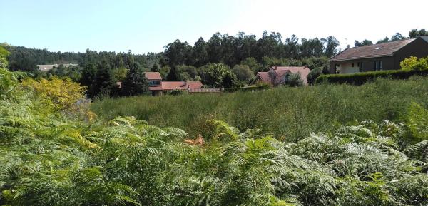 Terreno en Aldea Costoia, 44