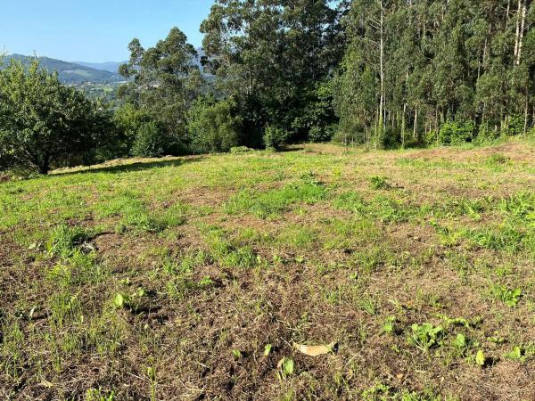 Terreno en Cabanan de arriba, 7