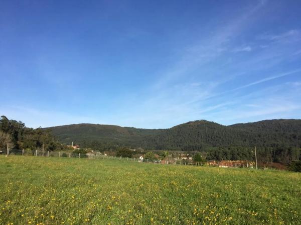 Terreno en Cp-0202, km 202