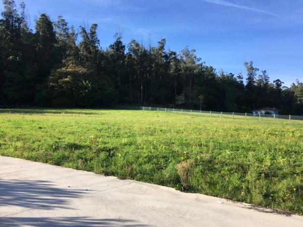 Terreno en Cp-0202, km 202