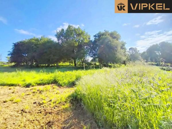 Terreno en santa eulalia de oza
