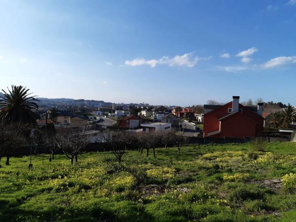 Terreno en calle Lagarteiras