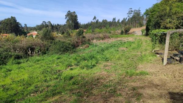 Terreno en Lugar Piñeiro