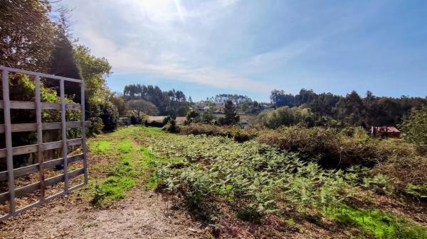 Terreno en Lugar Piñeiro