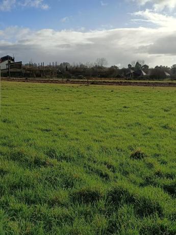 Terreno en paseo fluvial s/n