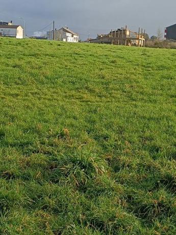 Terreno en paseo fluvial s/n