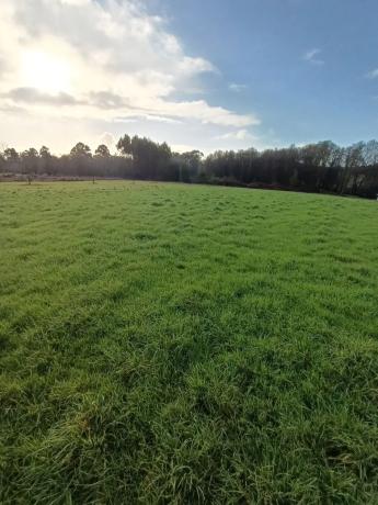 Terreno en paseo fluvial s/n