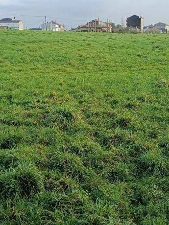 Terreno en paseo fluvial s/n