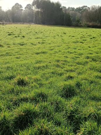 Terreno en paseo fluvial s/n